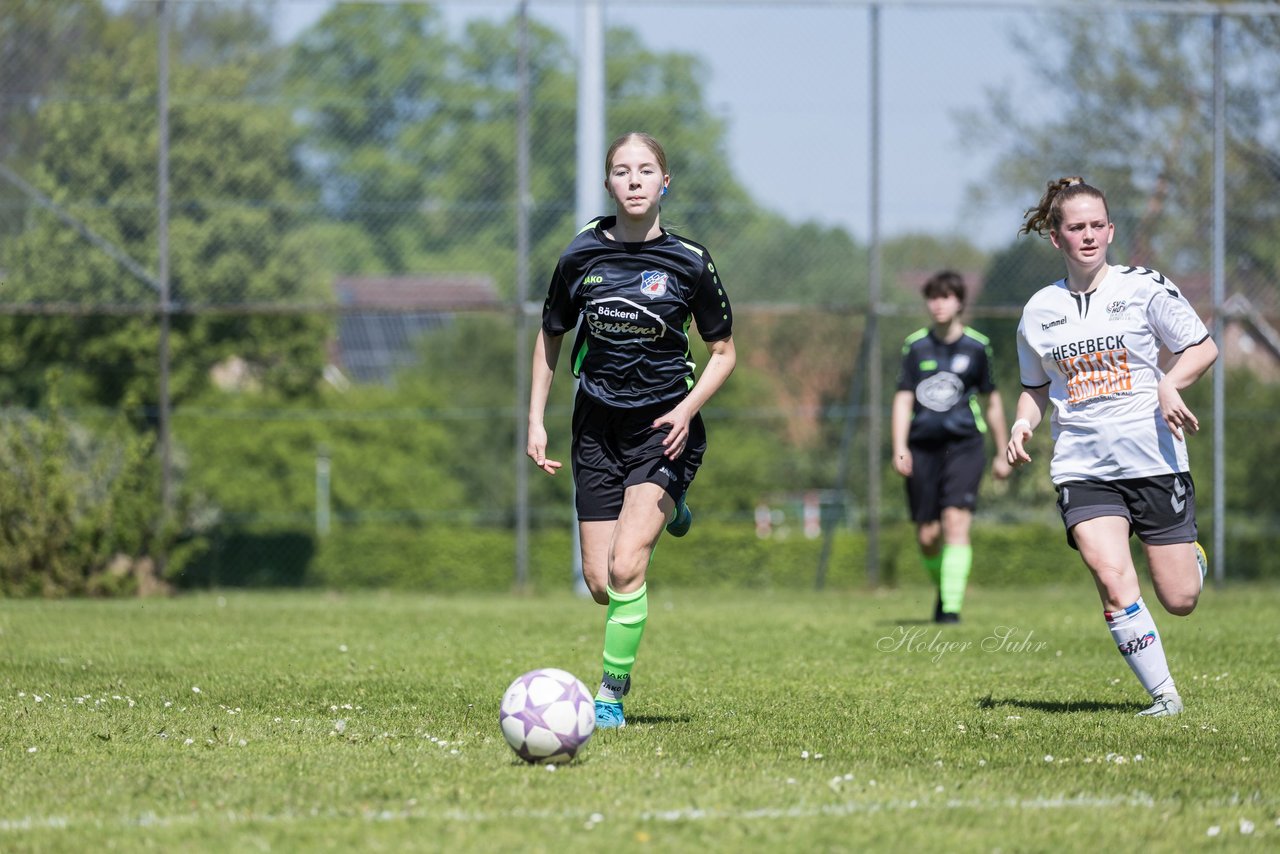 Bild 329 - wBJ SV Henstedt Ulzburg - FSG Oldendorf Itzehoe : Ergebnis: 6:3